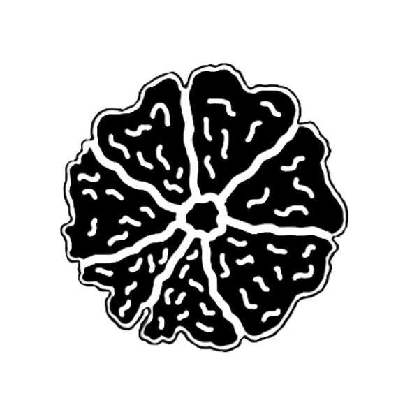 Rudraksha Recommendation